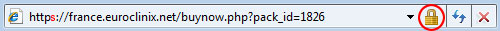 Security icon for Internet Explorer