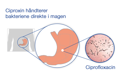 hvordan ciprofloxacin virker