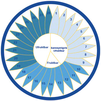 Menstruasjonssyklussen