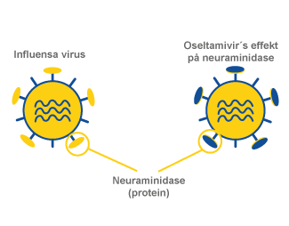 Hvordan disse hemmerne virker