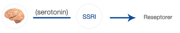 serotonin i for tidlig utløsning